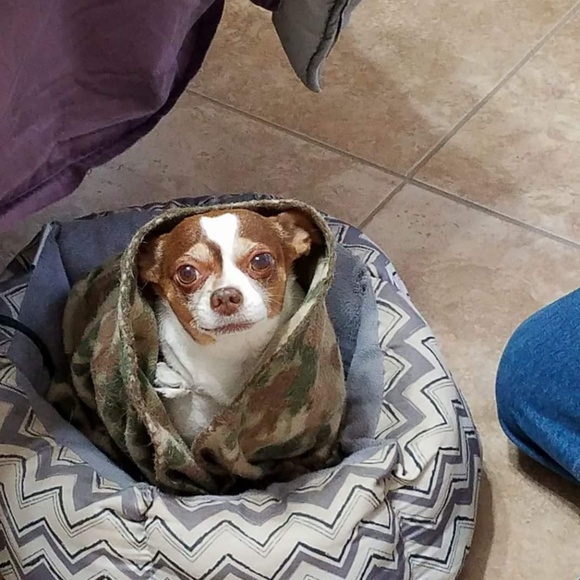 Meet your Posher, Chris - Picture 6 of 12